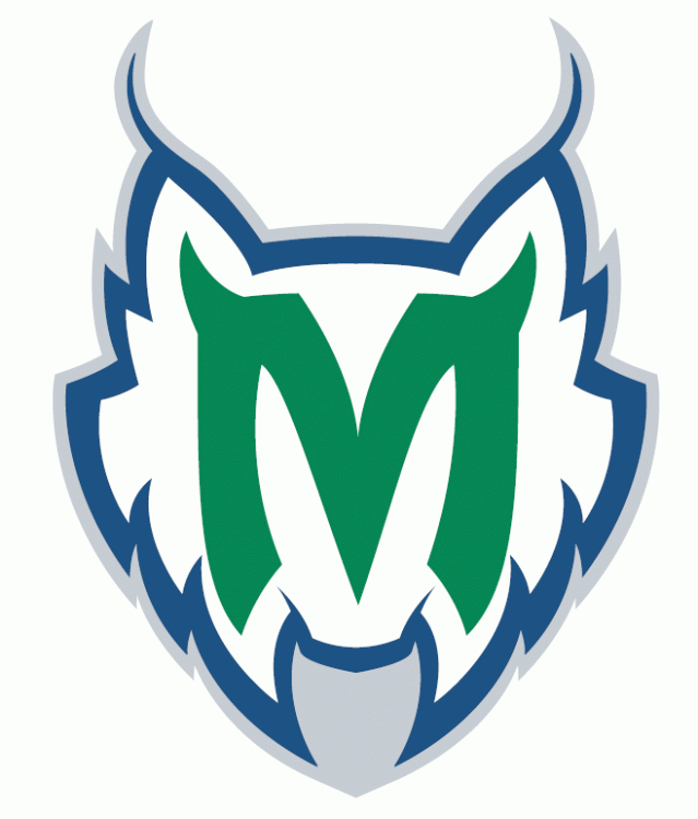 Minnesota Lynx 1999-Pres Secondary Logo iron on heat transfer